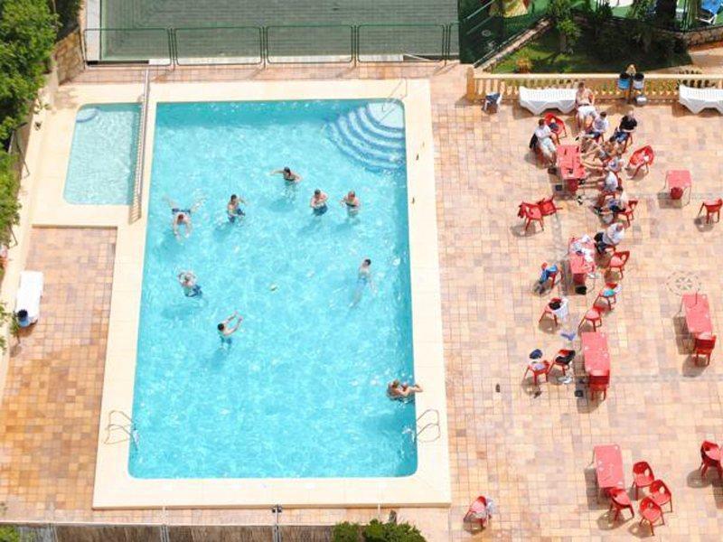 Palm Court Apartment *