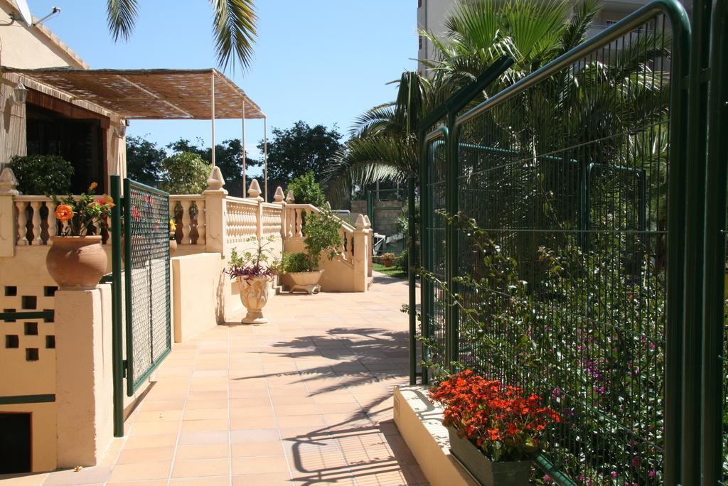 Palm Court Apartamento