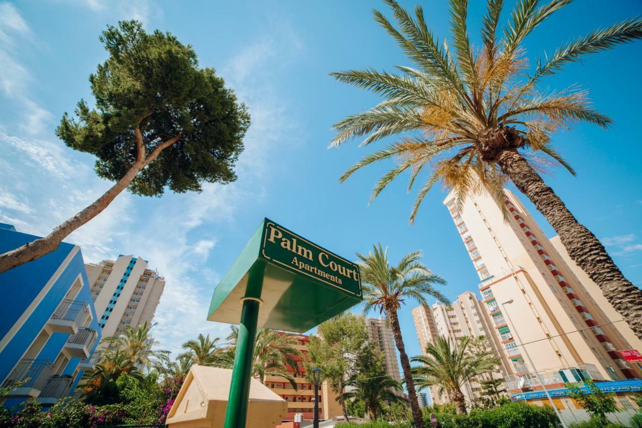 Apartment Palm Court Benidorm